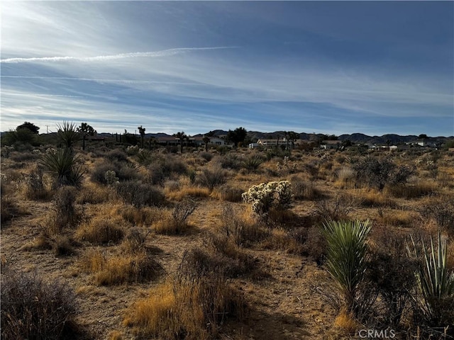 0 Plute Trl, Yucca Valley CA, 92284 land for sale