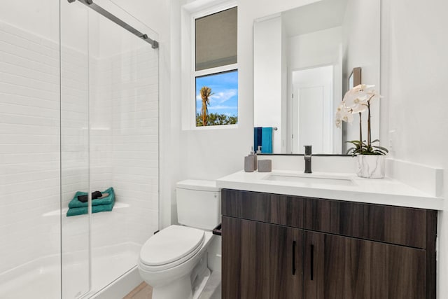 bathroom featuring a shower with door, vanity, and toilet