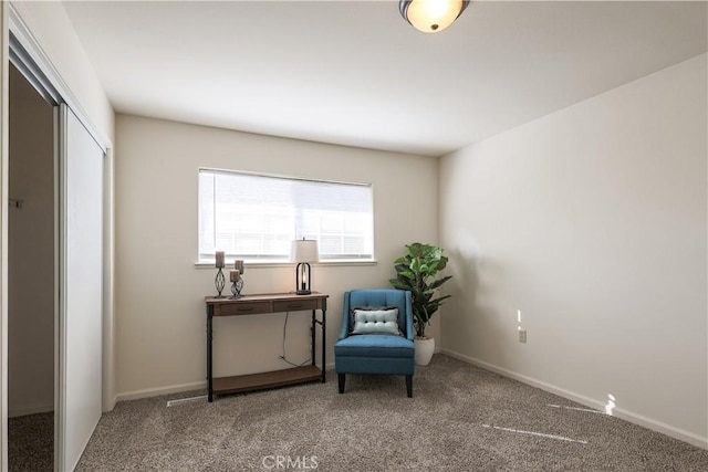 sitting room featuring carpet flooring