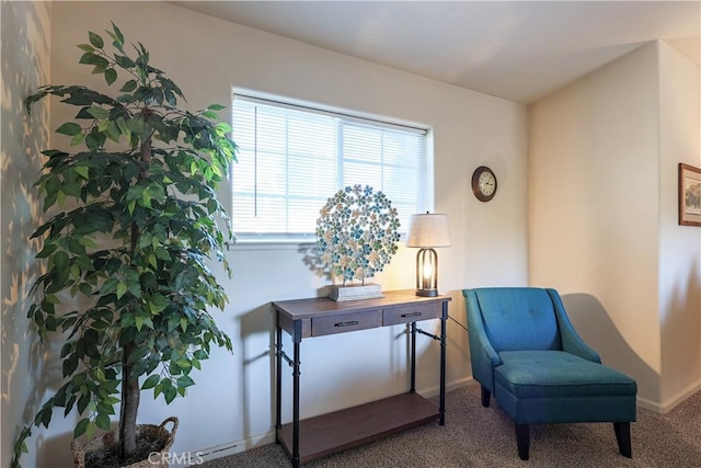 sitting room with carpet floors