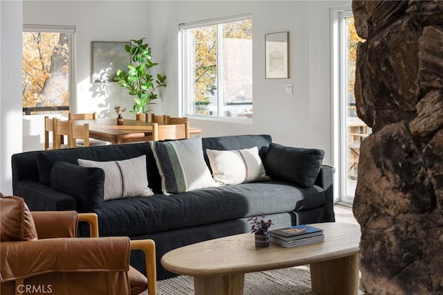 living room with a wealth of natural light