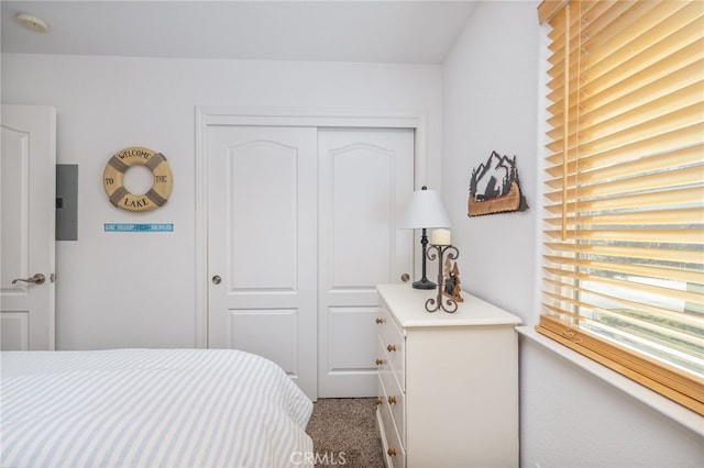 bedroom with light carpet, a closet, and electric panel