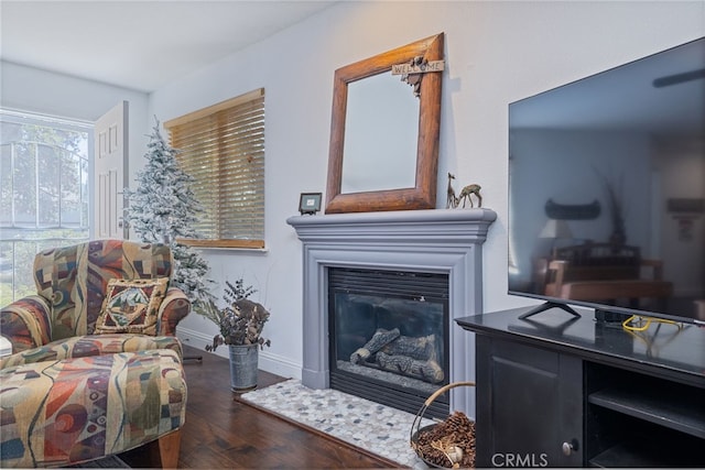 living room featuring dark hardwood / wood-style floors and plenty of natural light