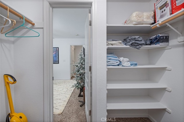 spacious closet with carpet flooring