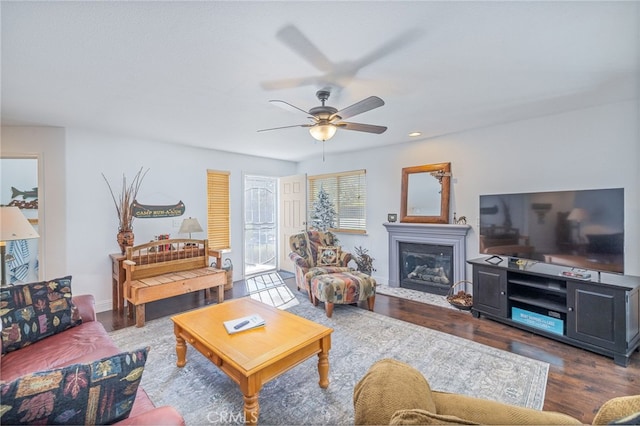 living room featuring ceiling fan and dark hardwood / wood-style flooring