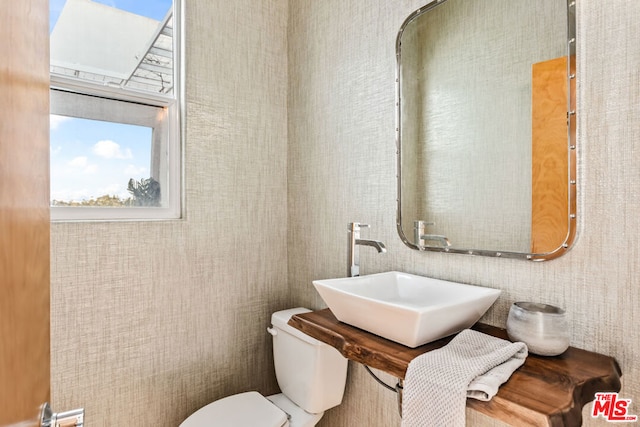 bathroom featuring toilet and sink