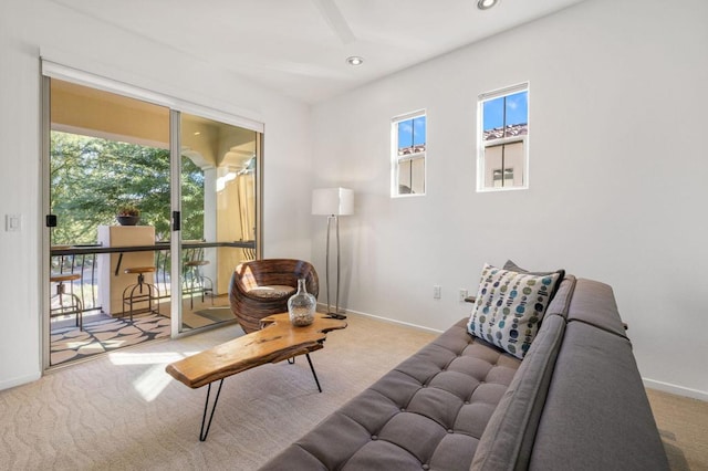 carpeted living room with a wealth of natural light