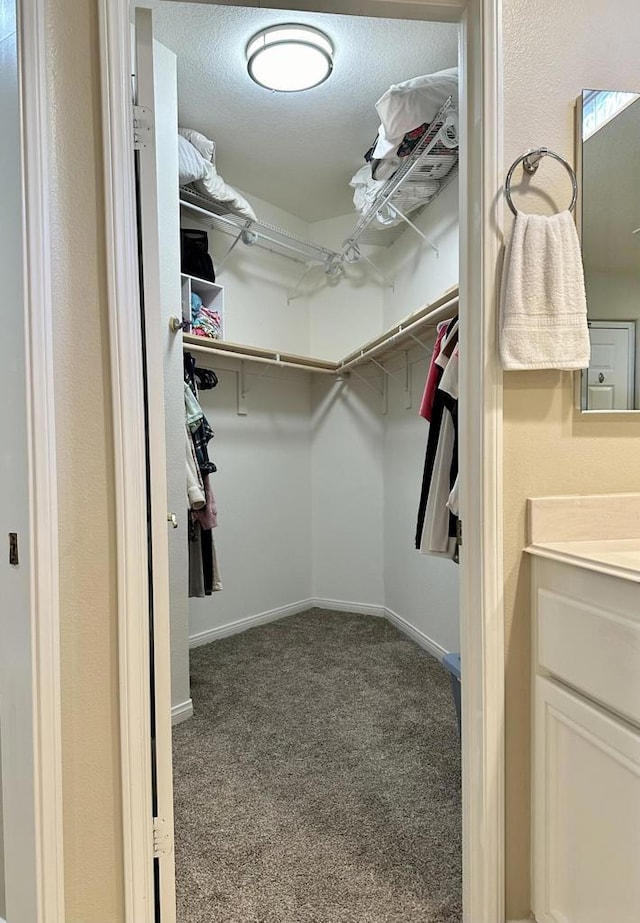 spacious closet with light colored carpet