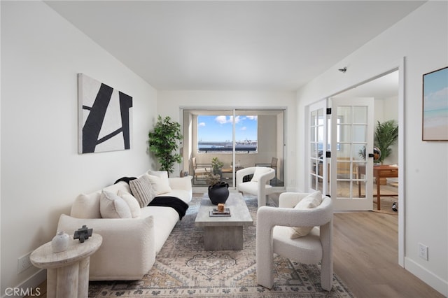 living room with wood-type flooring