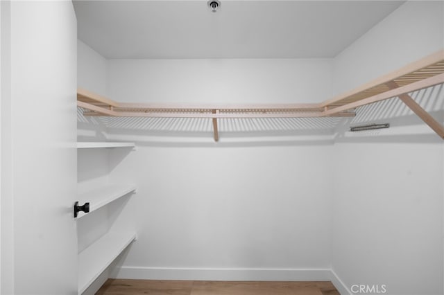 spacious closet featuring hardwood / wood-style flooring