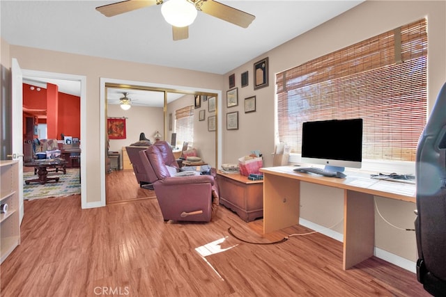 office featuring light hardwood / wood-style floors, a healthy amount of sunlight, and ceiling fan