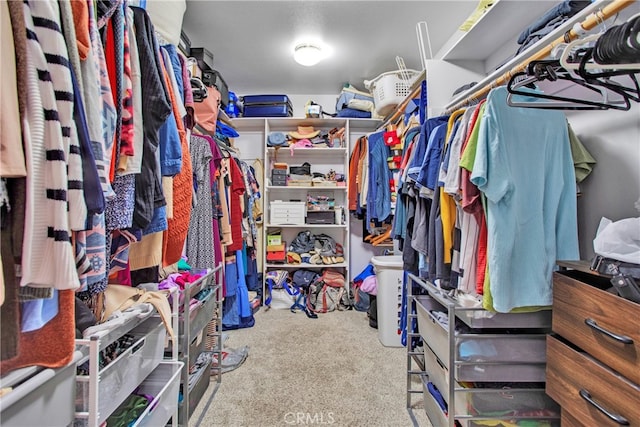 walk in closet featuring carpet floors