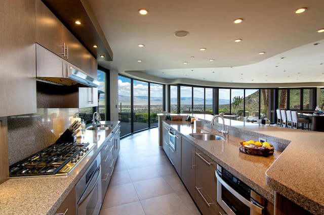 kitchen with sink, light stone counters, expansive windows, and stainless steel appliances