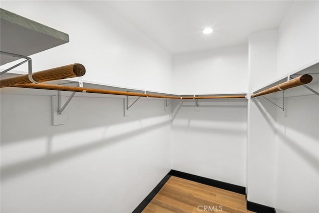 spacious closet featuring hardwood / wood-style flooring