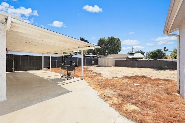 view of yard featuring a patio area and a storage unit