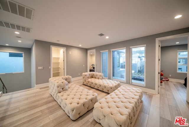 bedroom featuring light wood-type flooring, a spacious closet, and multiple windows