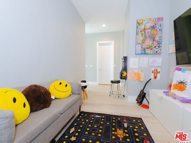 living room featuring wood-type flooring