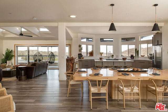 dining space with sink, dark hardwood / wood-style floors, and ceiling fan