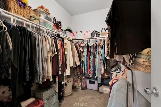 spacious closet featuring carpet floors