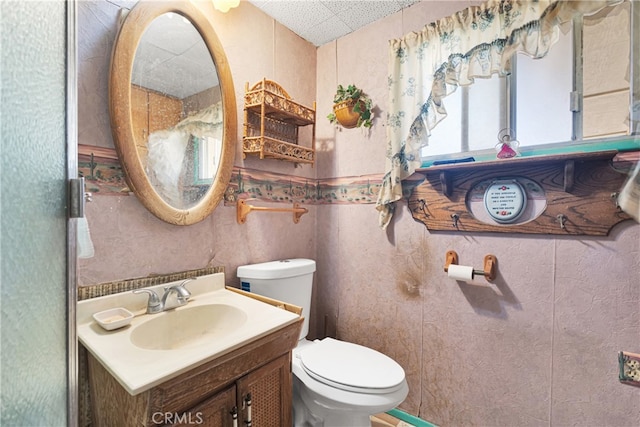 bathroom with toilet and vanity