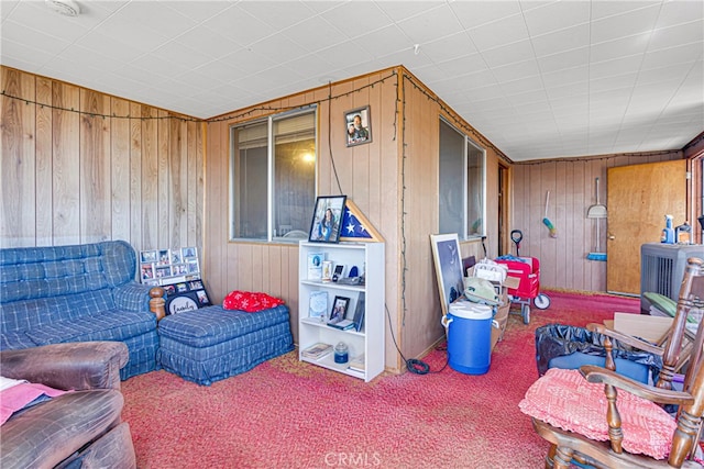 interior space with wood walls and carpet floors