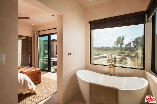 bathroom featuring a healthy amount of sunlight and a bathing tub