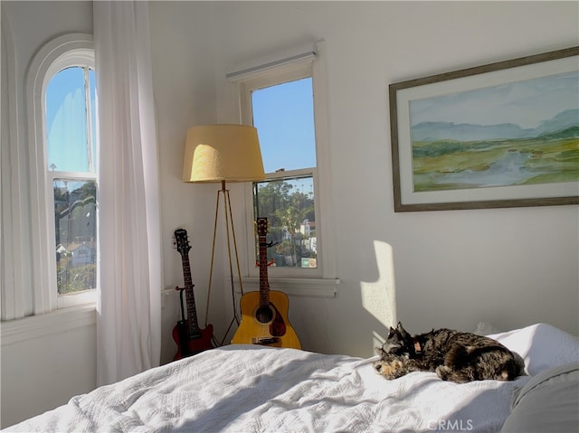 bedroom with multiple windows