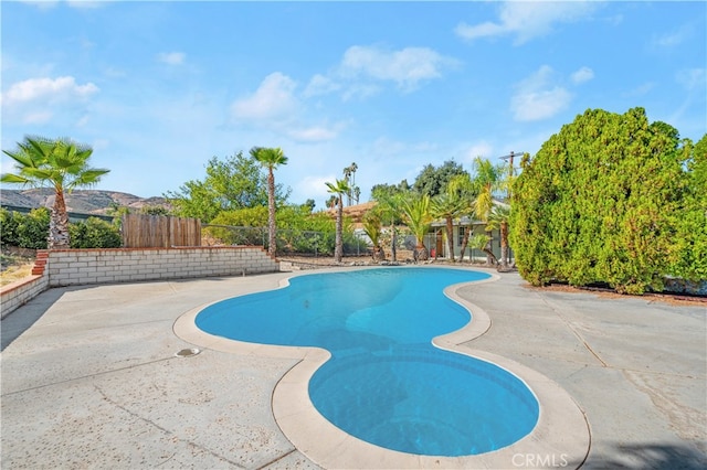 view of pool with a patio