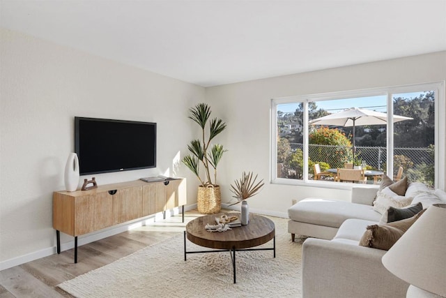 living room featuring light wood-type flooring