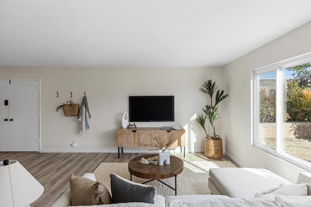 living room featuring light hardwood / wood-style floors and plenty of natural light