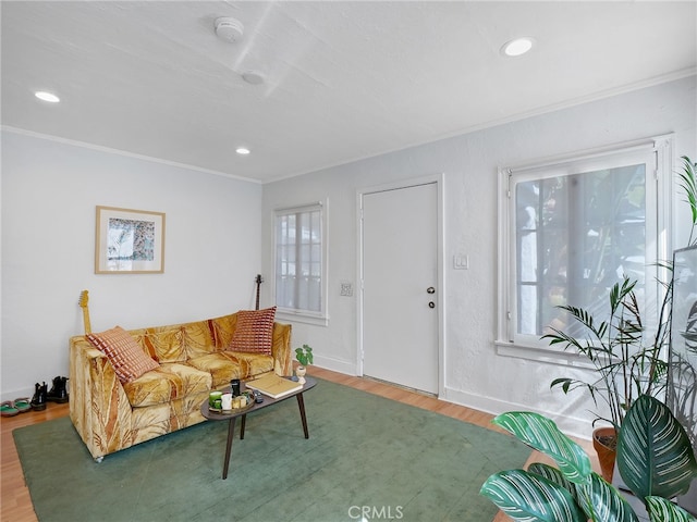 living room featuring ornamental molding and wood-type flooring