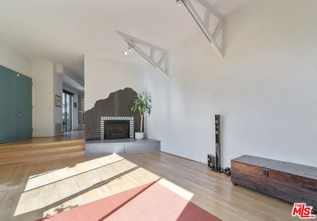 living room featuring a fireplace and hardwood / wood-style floors