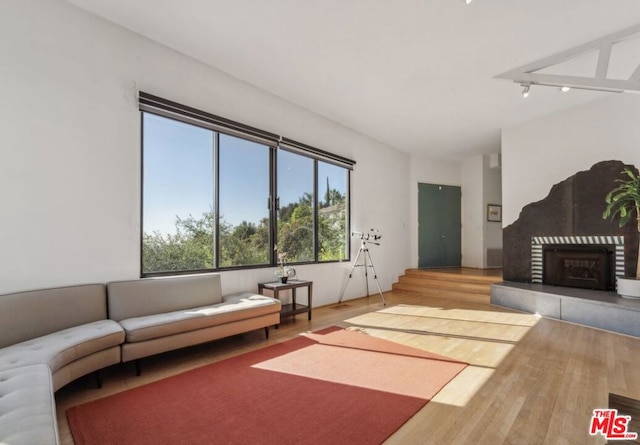 living room featuring hardwood / wood-style flooring, plenty of natural light, and rail lighting