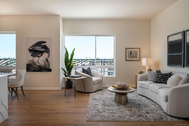 living room featuring hardwood / wood-style flooring