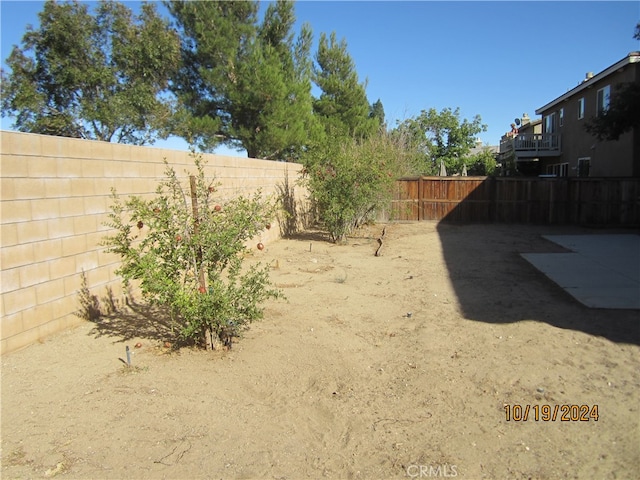 view of yard featuring a patio area