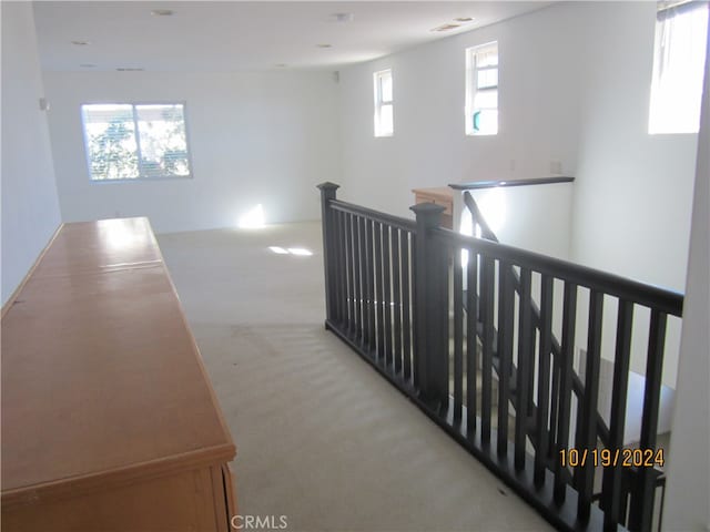 hall with light carpet and a healthy amount of sunlight