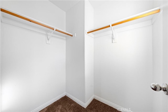 walk in closet with carpet