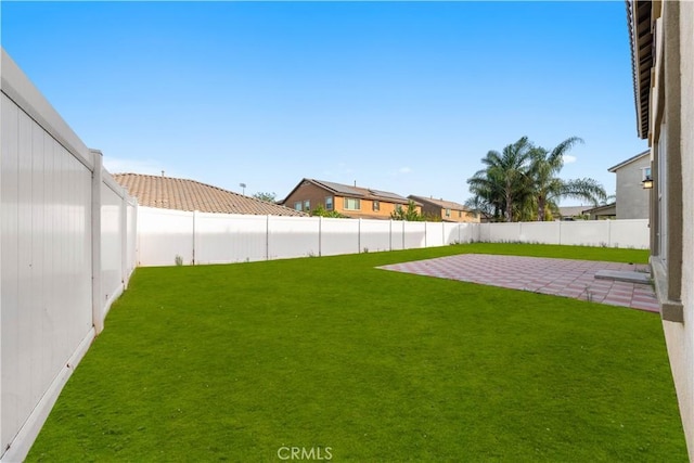 view of yard featuring a patio area