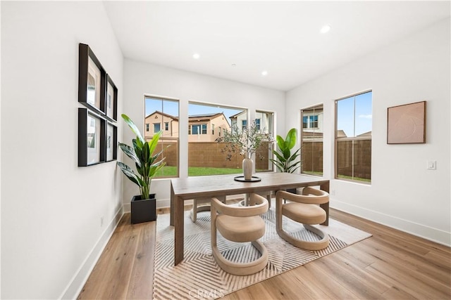 dining room featuring plenty of natural light and light hardwood / wood-style flooring