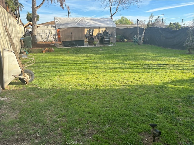 view of yard with a patio and a storage shed