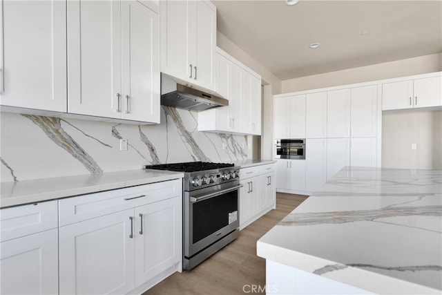 kitchen with tasteful backsplash, light stone countertops, light wood-type flooring, stainless steel appliances, and white cabinets