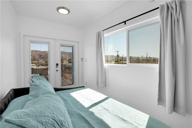 bedroom with access to outside, multiple windows, and french doors