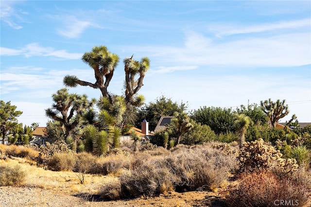0 San Diego Dr, Yucca Valley, CA 92284