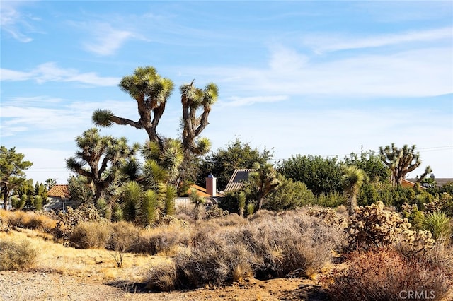 0 San Diego Dr, Yucca Valley CA, 92284 land for sale