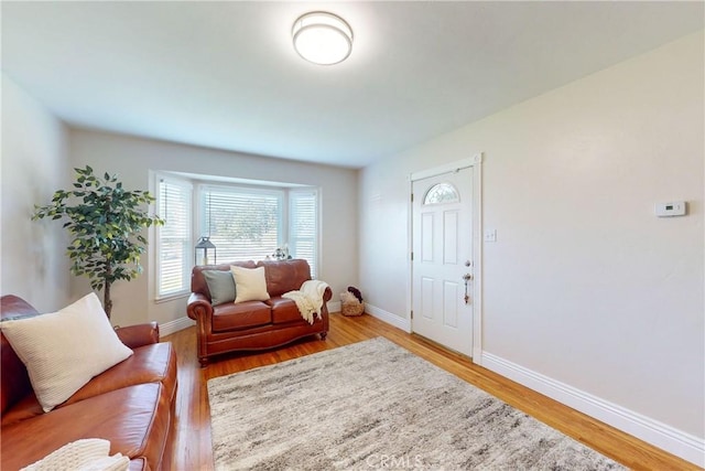 living room with light hardwood / wood-style floors