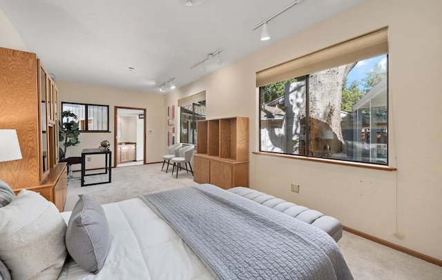 bedroom with rail lighting and light colored carpet