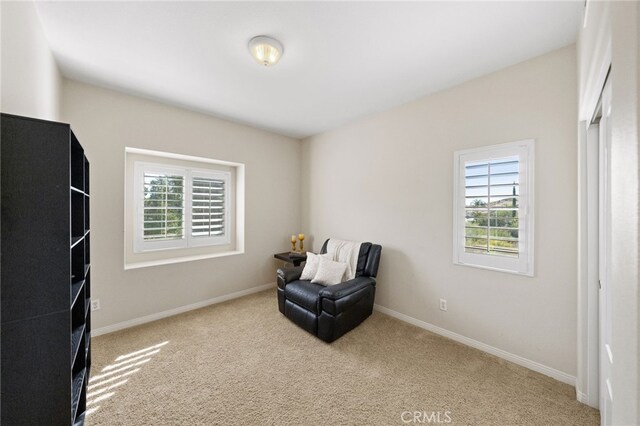 sitting room with light colored carpet