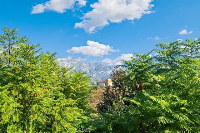 view of nature with a mountain view