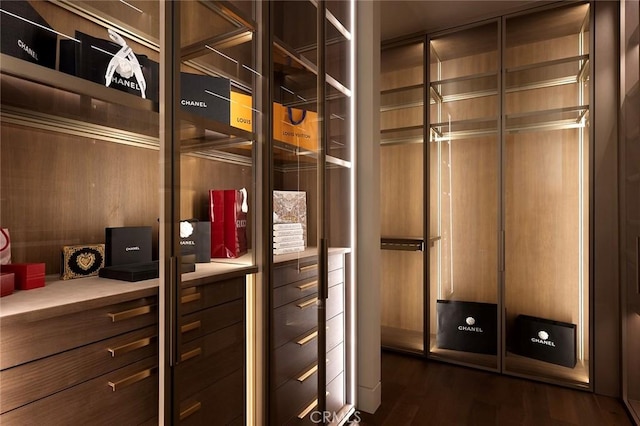 spacious closet featuring dark hardwood / wood-style floors