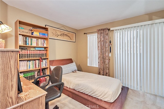 bedroom with carpet